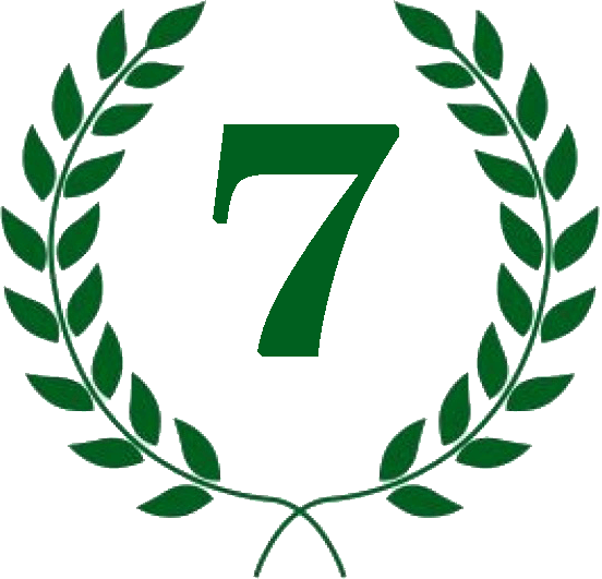 Diploma 7º puesto